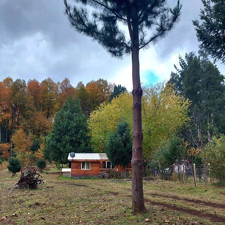 Cabana May Pao, Para 3 En Melipeuco Cerca Del Parque Nacional Conguillio Kültér fotó