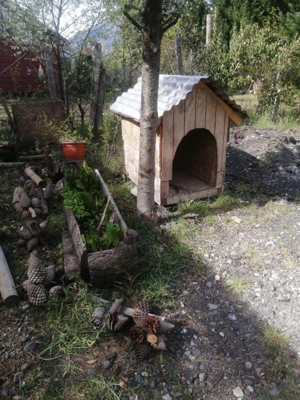 Cabana May Pao, Para 3 En Melipeuco Cerca Del Parque Nacional Conguillio Kültér fotó