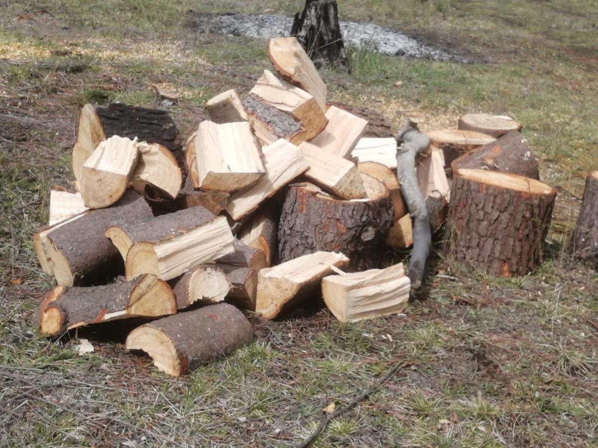 Cabana May Pao, Para 3 En Melipeuco Cerca Del Parque Nacional Conguillio Kültér fotó
