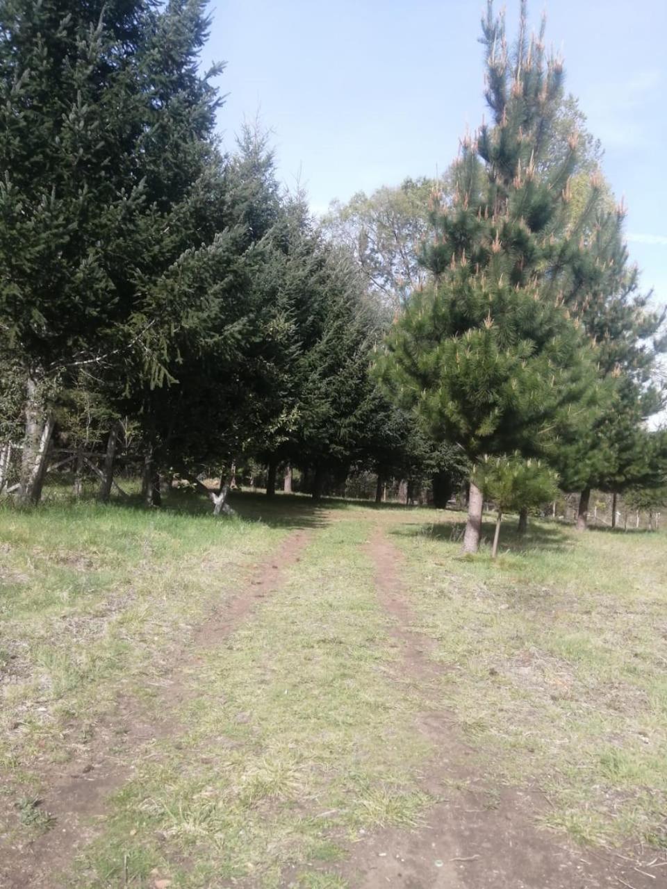 Cabana May Pao, Para 3 En Melipeuco Cerca Del Parque Nacional Conguillio Kültér fotó