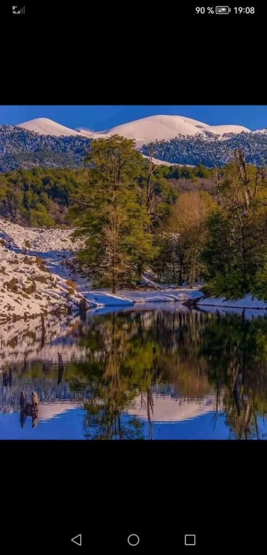 Cabana May Pao, Para 3 En Melipeuco Cerca Del Parque Nacional Conguillio Kültér fotó