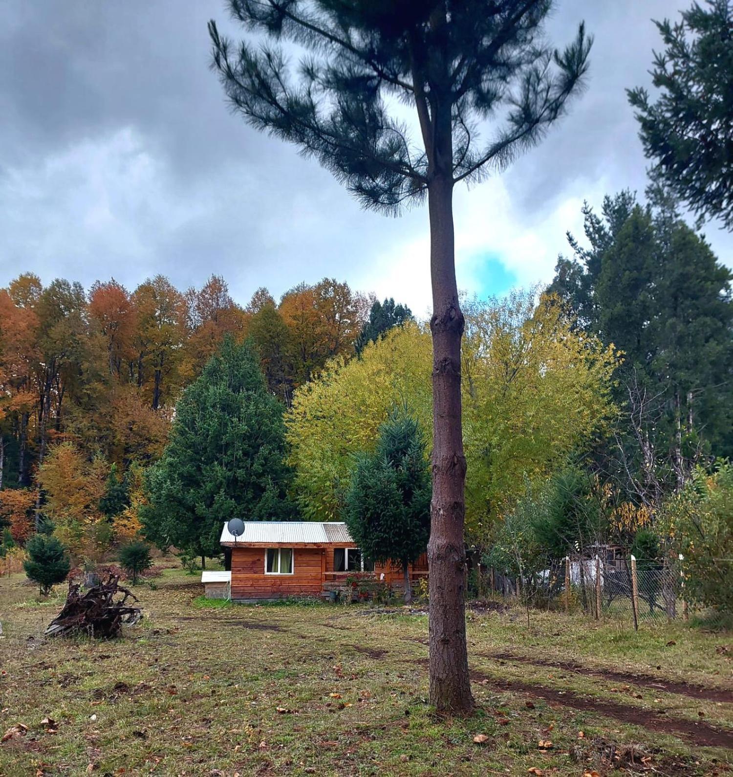 Cabana May Pao, Para 3 En Melipeuco Cerca Del Parque Nacional Conguillio Kültér fotó
