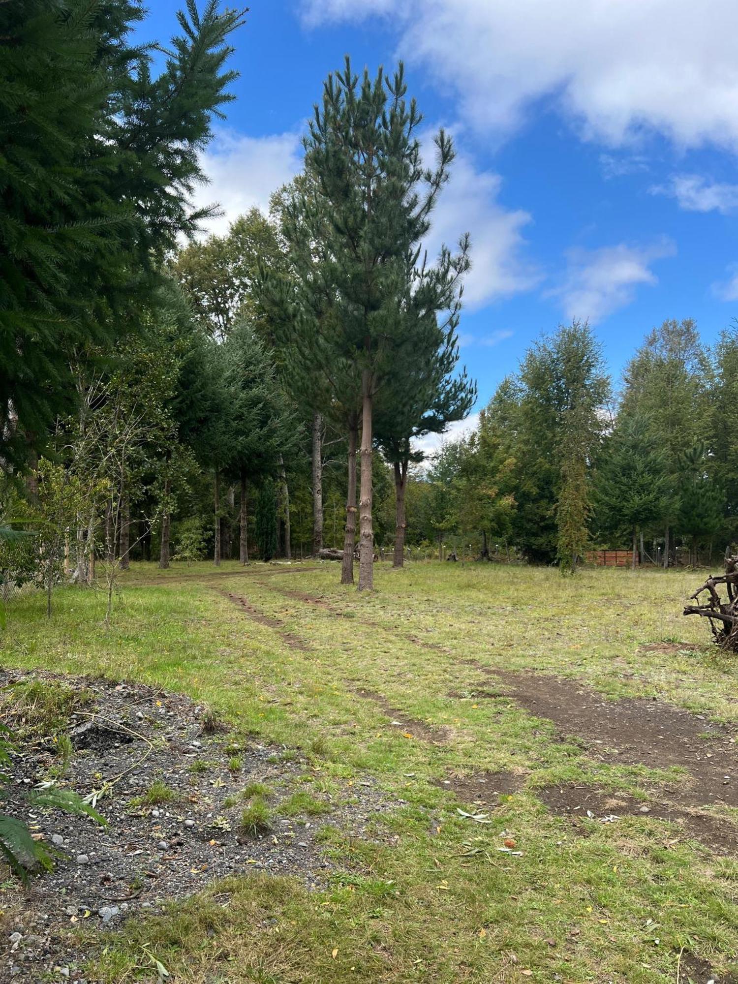 Cabana May Pao, Para 3 En Melipeuco Cerca Del Parque Nacional Conguillio Kültér fotó